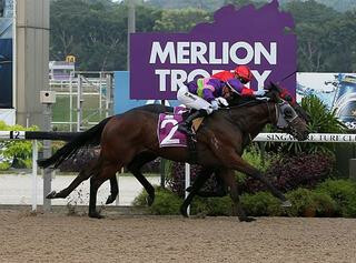 Countofmontecristo (NZ) claims the $400000 Listed Merlion Trophy on Sunday Night. Photo Cred: Singapore Turf Club 